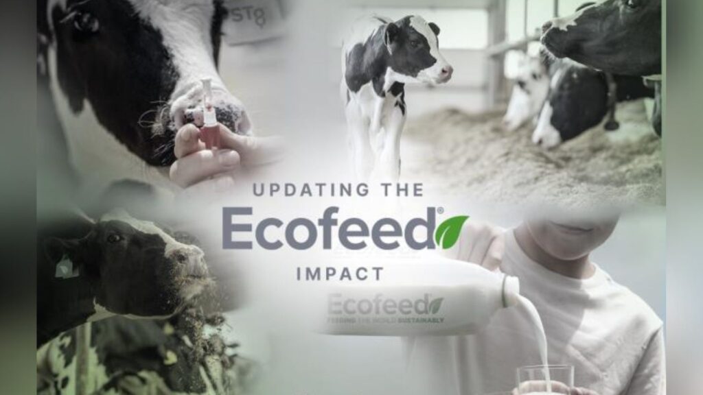 Ecofeed genetic for profitability