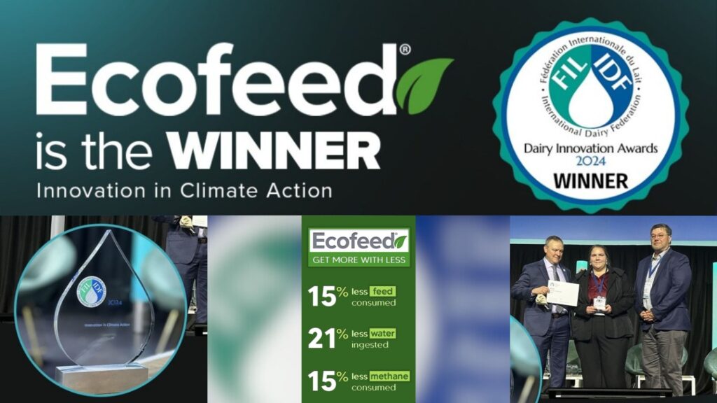 Ecofeed is the winner of IDF 2024