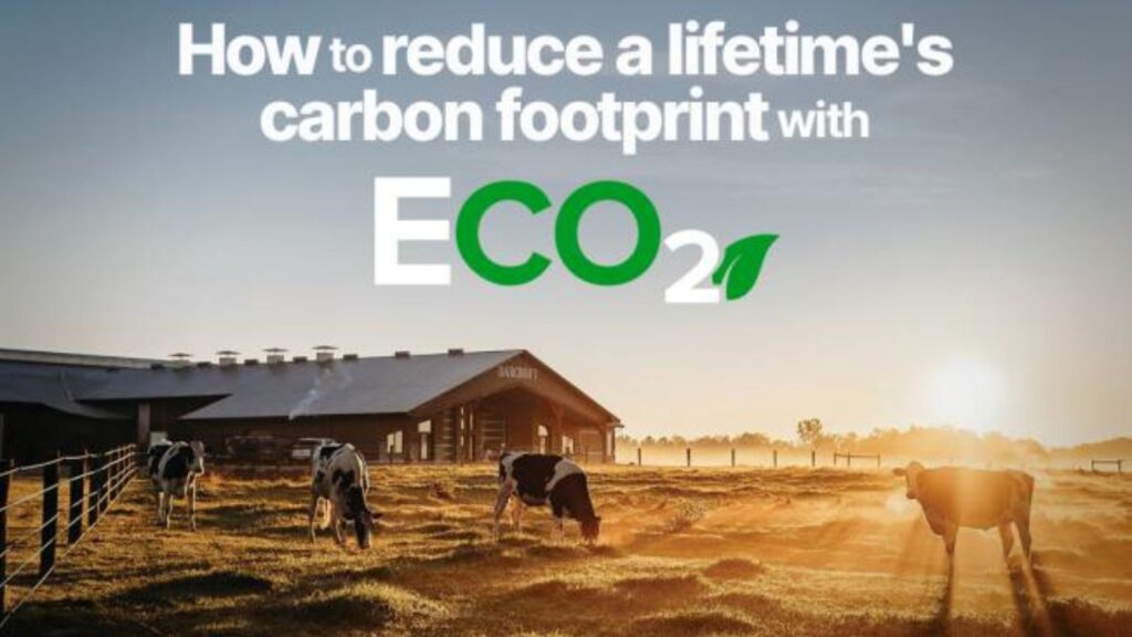 How to reduce carbon footprint with ECO2