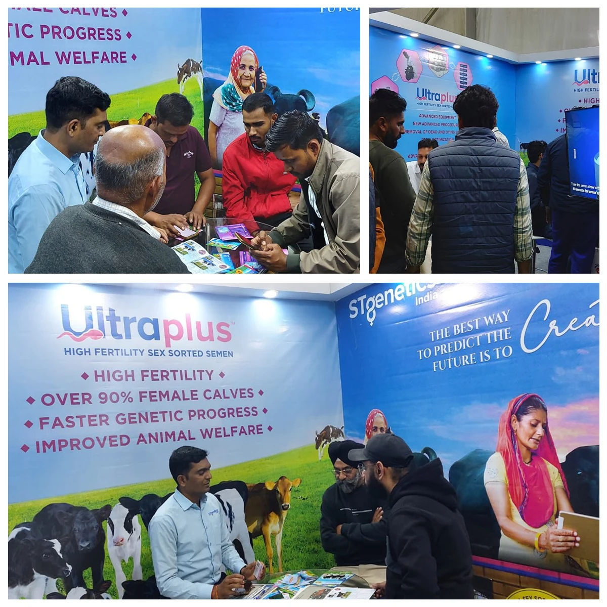 PDFA Expo 2024 collage