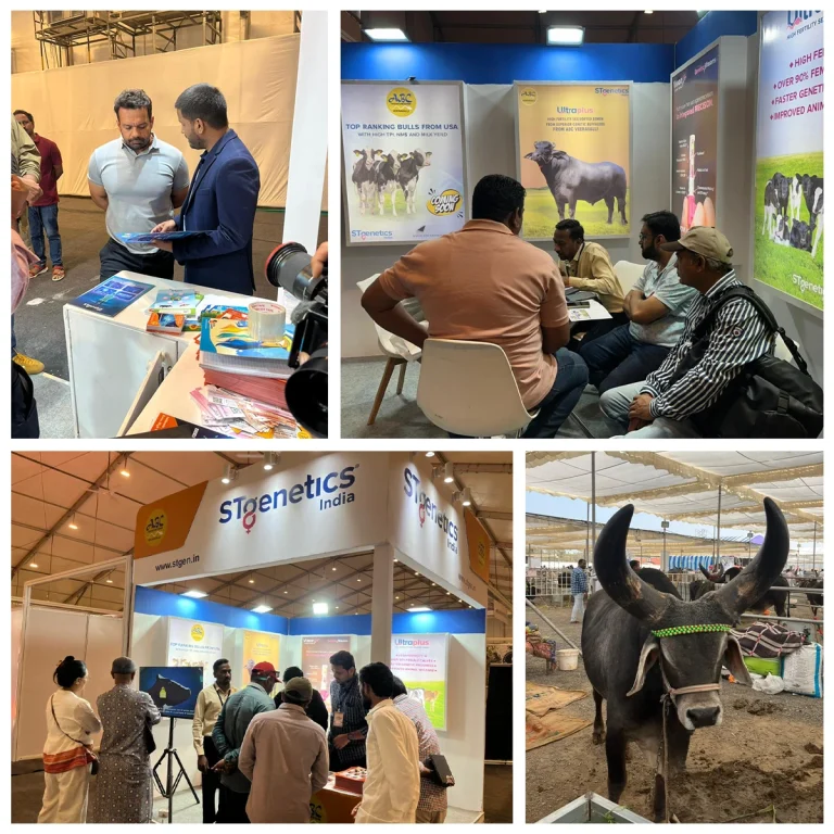 Indian Cattle Show Rajkot 2026